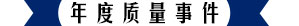 年度質(zhì)量事件